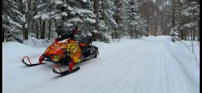 2016 Polaris Pro S 600 in beautiful condition needs a couple boggy wheels and some sliders. Other th...