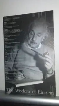 The Wisdom Of Einstein Quotes Laminate Print Wall Deco 24"x 36"