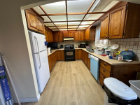 Wood kitchen cabinets and laminate countertop 