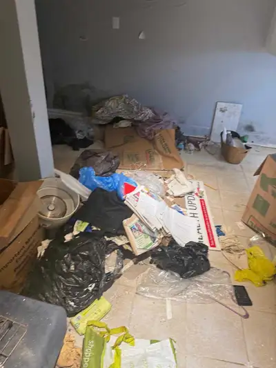 need junk removed ?, View more