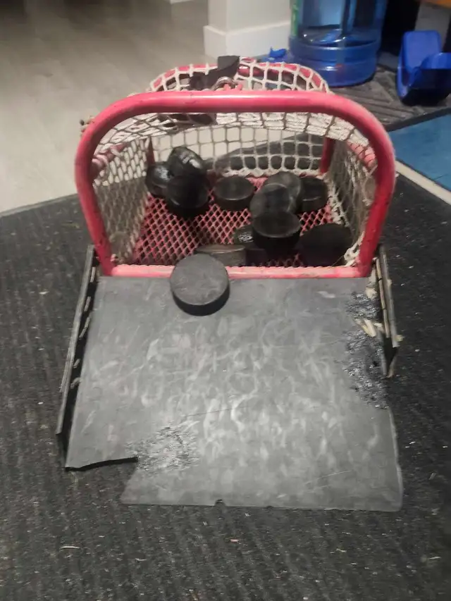 Hockey Puck Carrier
