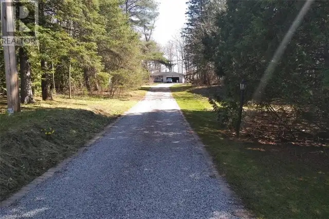 RENTAL: 2008 Sherbrooke ST W, Peterborough- Near Fleming College in Room Rentals & Roommates in Peterborough - Image 15