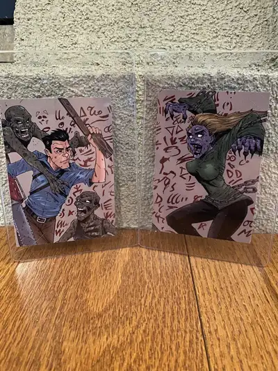 Brand new in protective sleeves. Never removed. Guaranteed mint condition. This 2 card matching set...