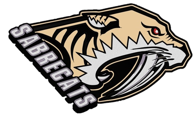 Looking for a few Hockey Players