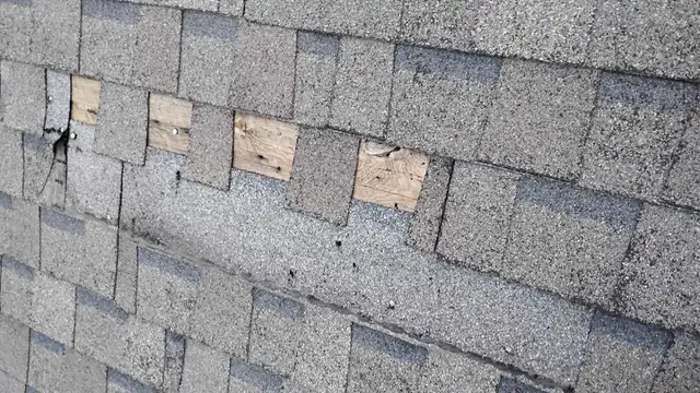 roofing and exterior repairs
