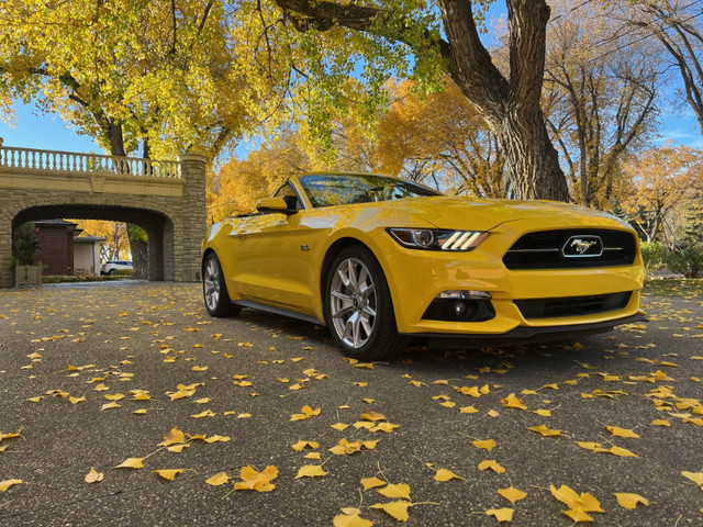 SALE - 2015 FORD MUSTANG GT CONV. PREMIUM (50TH ANNIVERSARY.) in Cars & Trucks in Medicine Hat