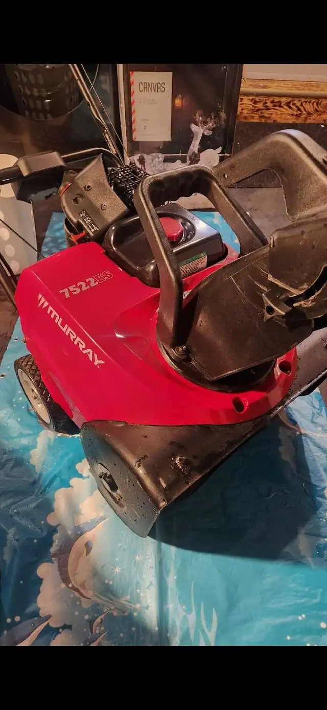 Lawn mower and Snowblower carburetor cleaning in Snowblowers in Bedford - Image 6