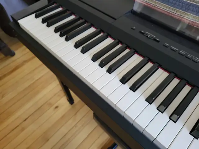 Piano Lessons $ 22.50 per half hour
