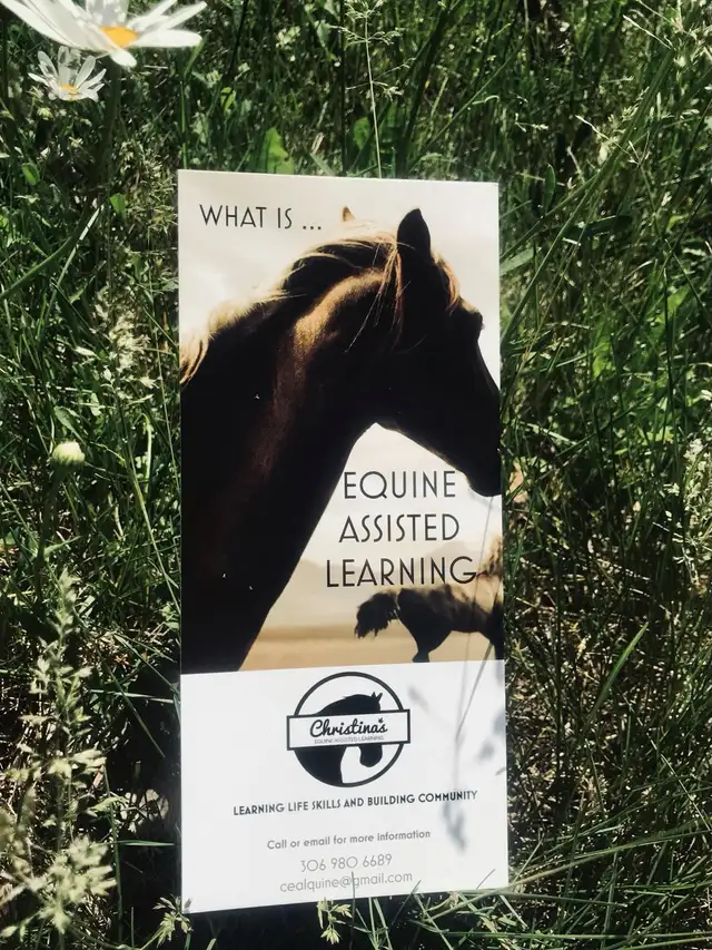Equine Assited Learning63611966940289121
