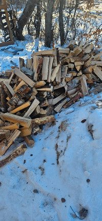 Firewood for sale Birch