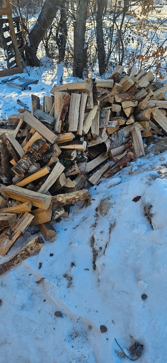 Firewood for sale Birch in Fireplace & Firewood in Winnipeg