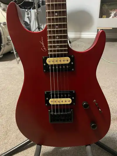 Godin Electric Guitar Alnico pickups, View more