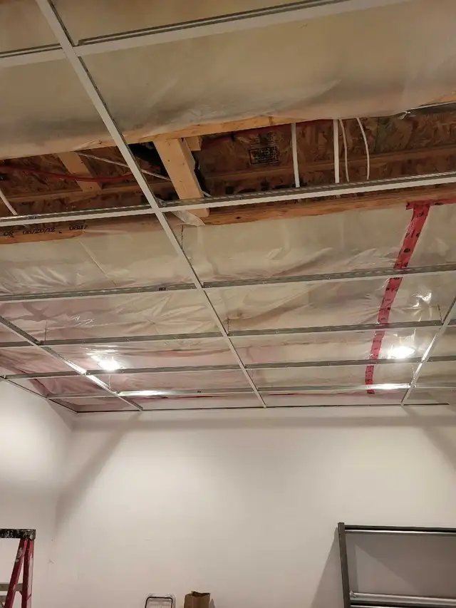 drop ceiling 65745638910466123
