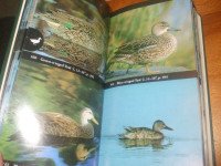 National Audobon Book of North American Birds