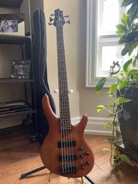 Cort B5 Five String Electric Bass Guitar W/soft case