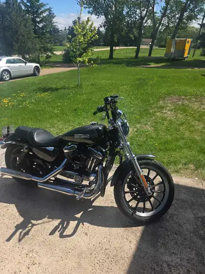 2006 harley davidson 1200xl Built it for my girlfriend but doesn't interest her 10 inch z bars Arlen...