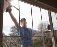BEST QUALITY/PRICE WINDOW/EAVES CLEANING/PAINTING/LAWN CARE/ODD