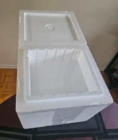 Still There -Styrofoam Coolers - pick-up in Carp, View more