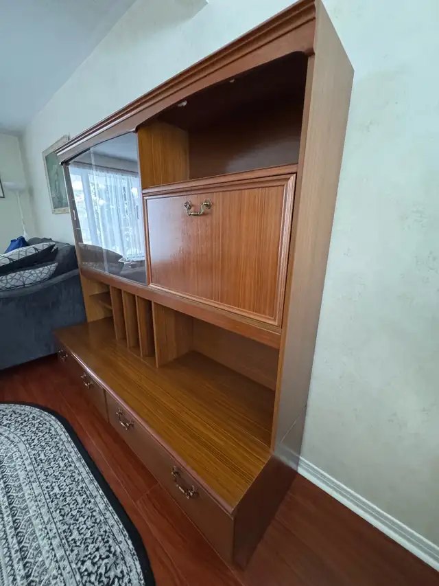 Vintage Style Wall Unit — Mid Century Modern in Bookcases & Shelving Units in Oakville / Halton Region - Image 6
