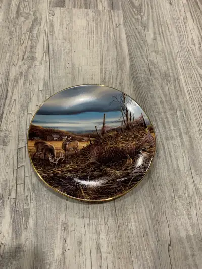 Terry Redlin decorative plate “Share the Bounty”. Excellent condition, no cracks. $20. If the item i...