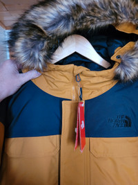 The north face mens winter jacket