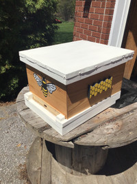 Functional bee hive