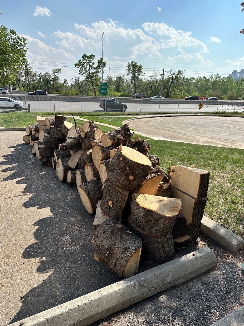 Free firewood at 1171 bow valley lane NE Free Stuff Calgary Kijiji