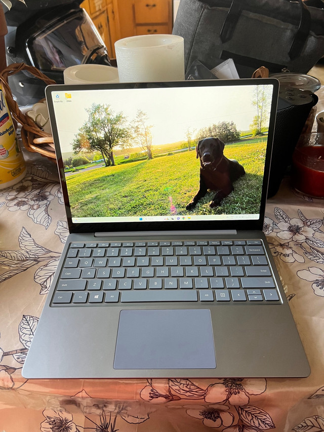 Microsoft Surface in Laptops in Saint John