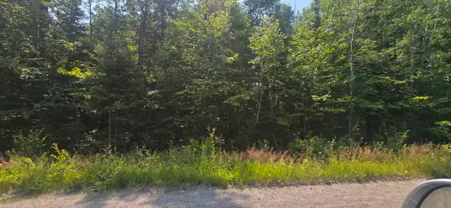 French River area vacant land63235121810819120