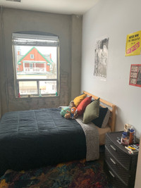 2 rooms for Spring 2024 in UPTOWN WATERLOO