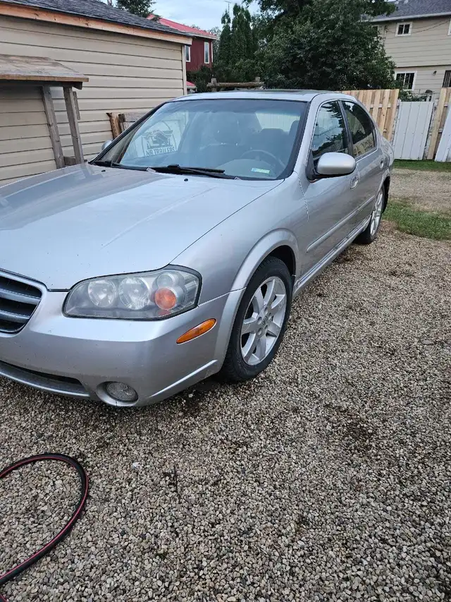 2003 Nissan Maxima 557469098731776001