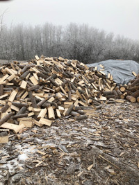 Split Firewood - 250 pieces(Approx 6.5 Foot Box Level-Thrown In)