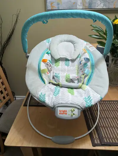 baby bouncer, View more