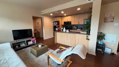 One-Bedroom Apartment Sublet