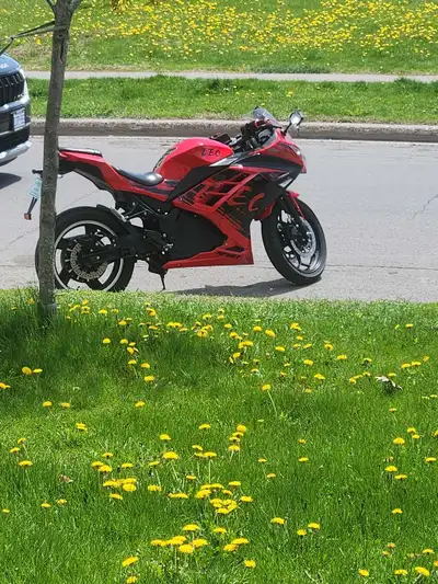 Only aprox. 50 kms. Red 2 seater with REVERSE. Depending on your weight for max. Speed. I'm 6'2" 225...