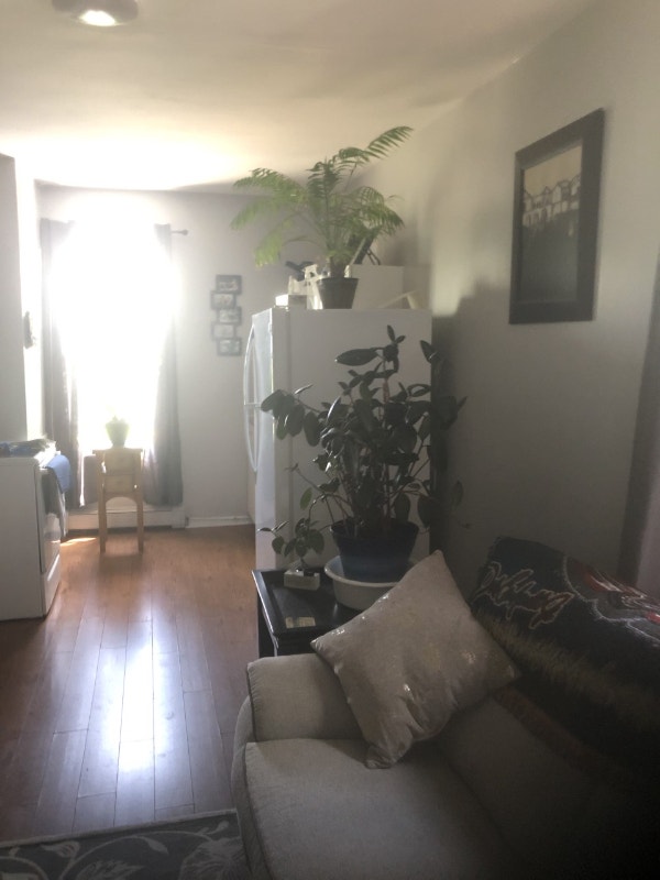 Unfurnished 1 Bedroom + Den in Middle Musquodoboit Long Term Rentals