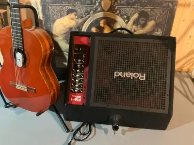 Moniteur amplifié  Roland PM-1, View more
