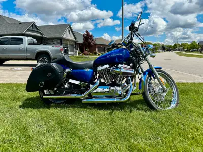 Excellent condition 50th anniversary Sportster with only 9800 kms. Sadlemen bags Full LED lighting E...