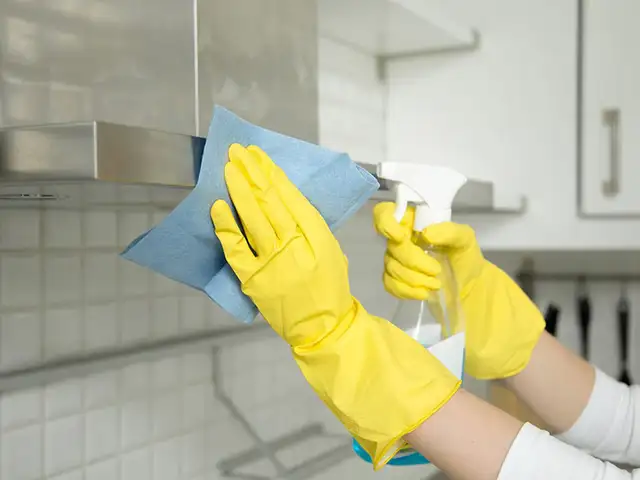 Deep Cleaning, Regular Cleanings Services402405809529835525