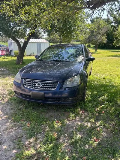 I have a 2005 Nissan Altima upper body is in great shape runs and drives great only issue is the bod...