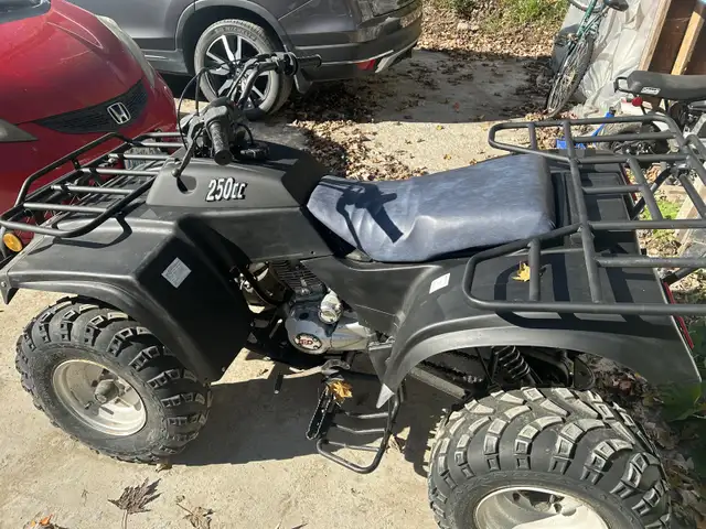 250cc ATV in ATVs in Ottawa - Image 3