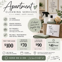 cleaning  Kitchener / Waterloo Kitchener Area Preview