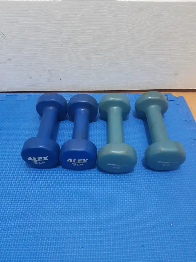 dumbbells in Exercise Equipment in Delta/Surrey/Langley - Image 9