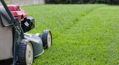 Hi, im starting a landscaping company. I have lawnmower. Trimmer, blowers. Affordable prices for my...