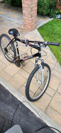 Adult Bicycle