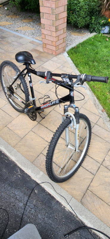 Adult Bicycle in Road in Oakville / Halton Region