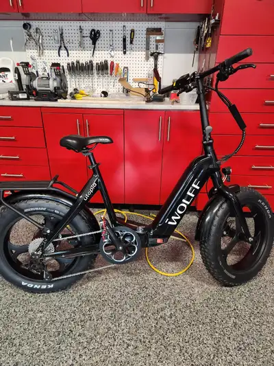 Wolff Utopia E-bike, View more