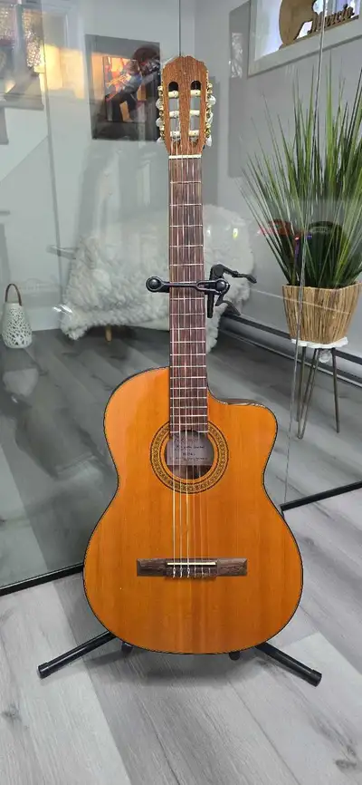 Takamine EG124C Accoustic guitar, View more