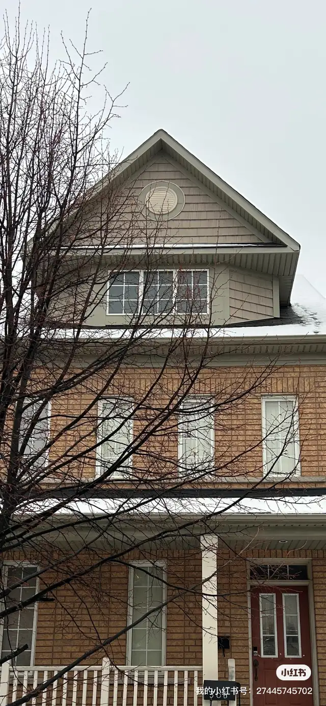 Best Deal! Only $650 One Bedroom Unit Rent