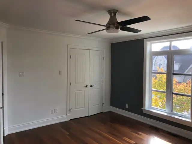 Painter Plus - Professional, Clean and Punctual63654773447041124